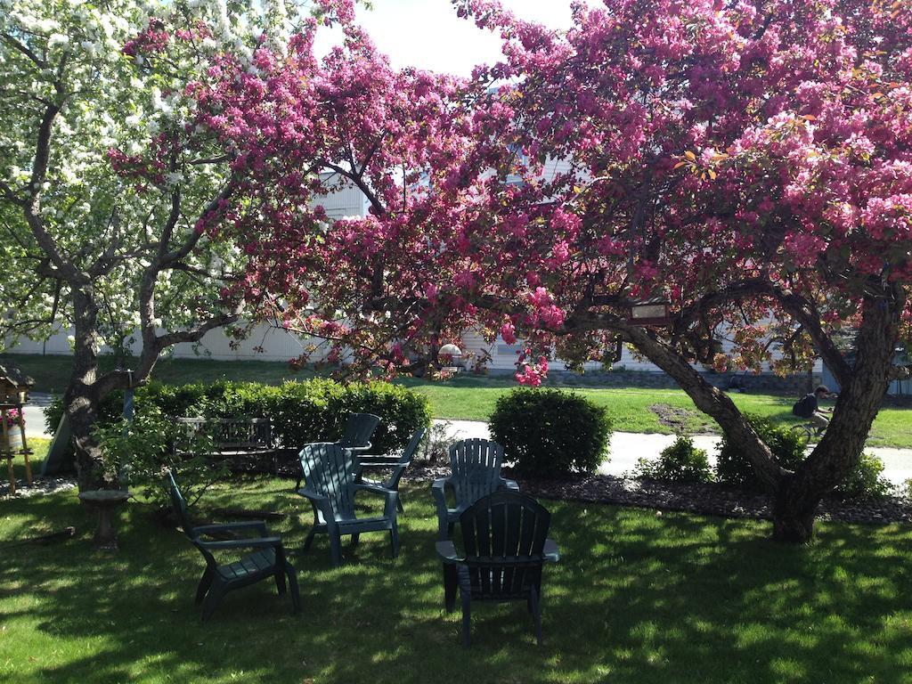 Lakeshore Inn & Suites Anchorage Quarto foto